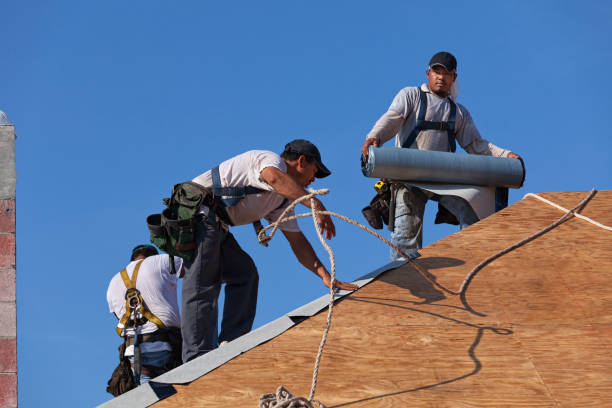 Best Residential Roof Replacement  in Pine Manor, FL